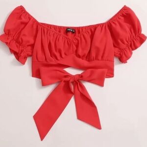 Shein Stylish Pink Off-Shoulder Top